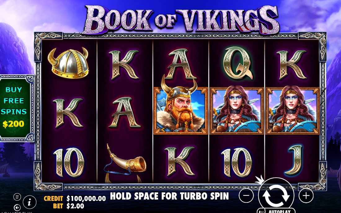 Book of Vikings