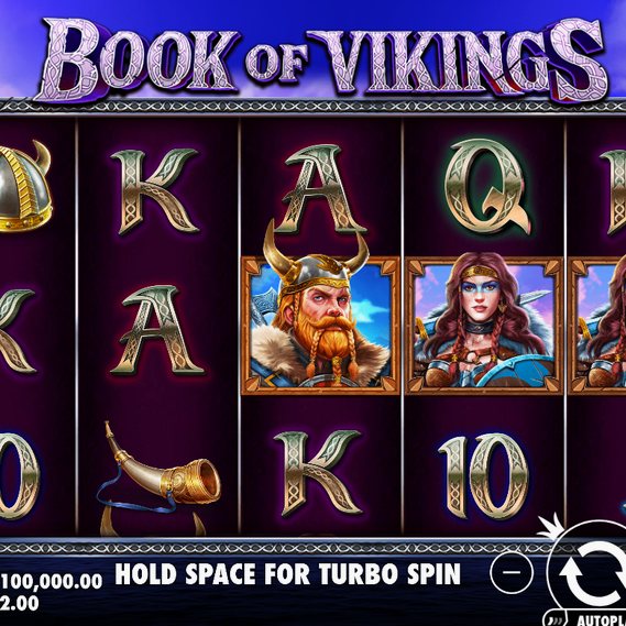 Book of Vikings