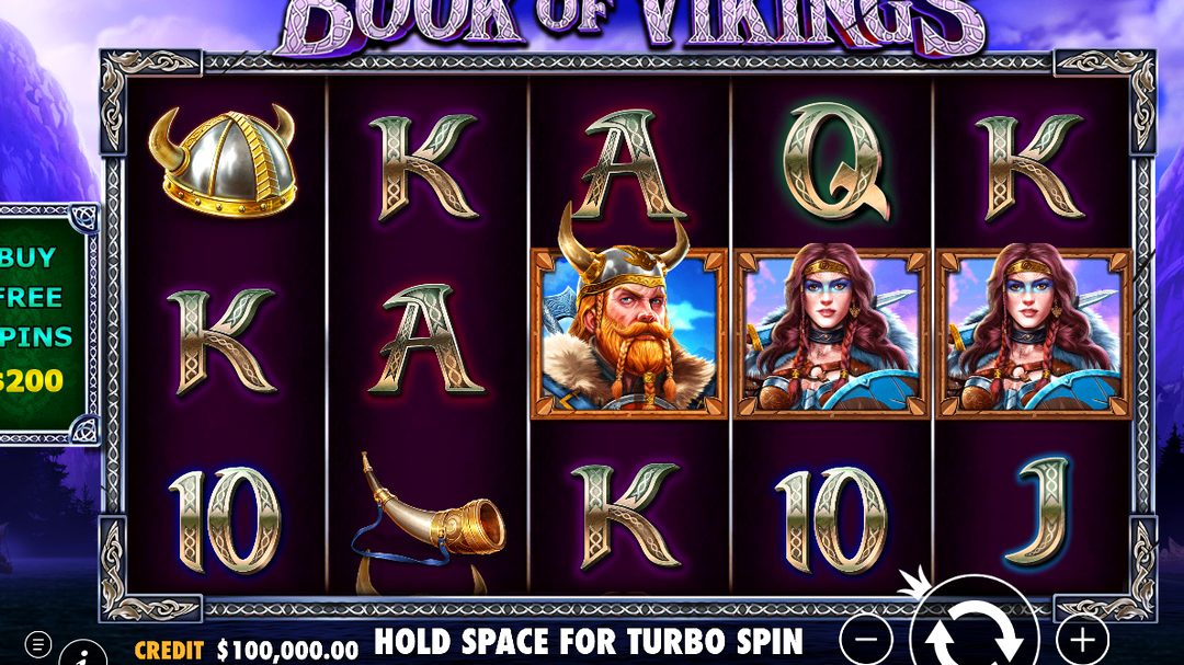 Book of Vikings